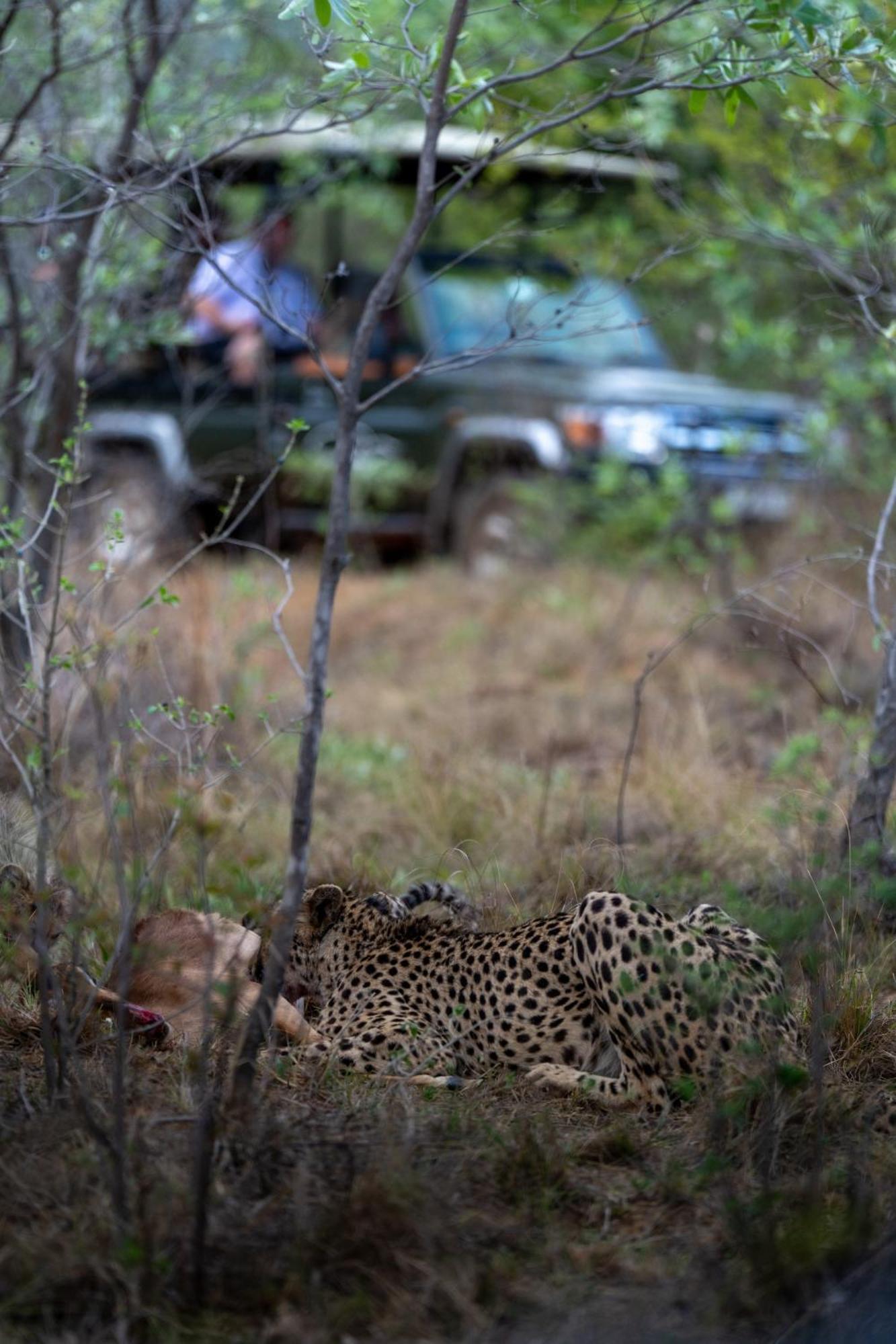 Sediba Luxury Safari Lodge Welgevonden Wildreservaat Buitenkant foto