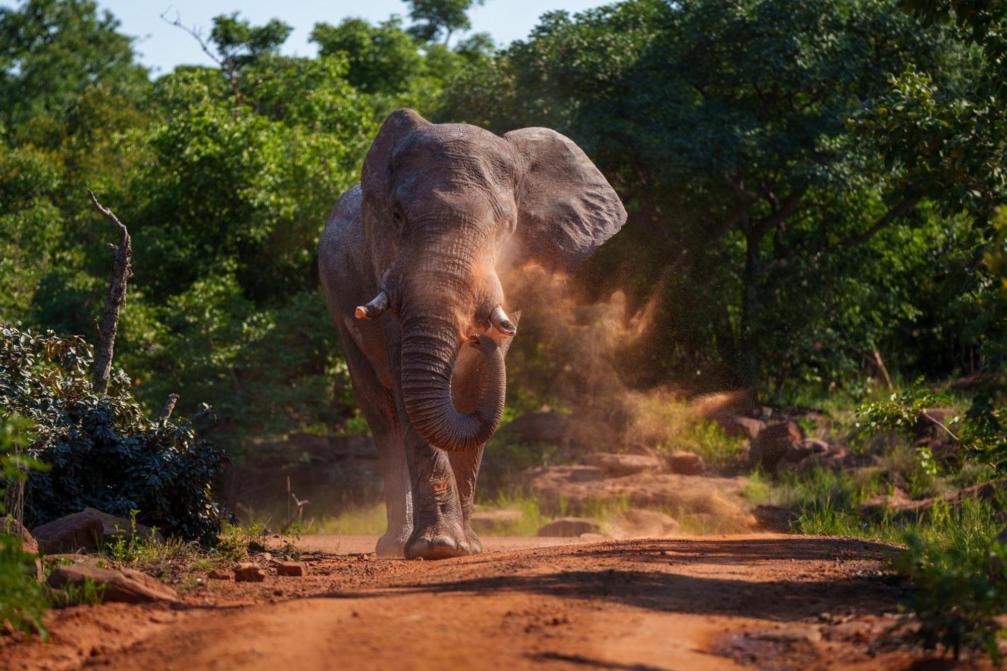 Sediba Luxury Safari Lodge Welgevonden Wildreservaat Buitenkant foto